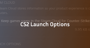 CS2 Launch Options (2026): Best Commands