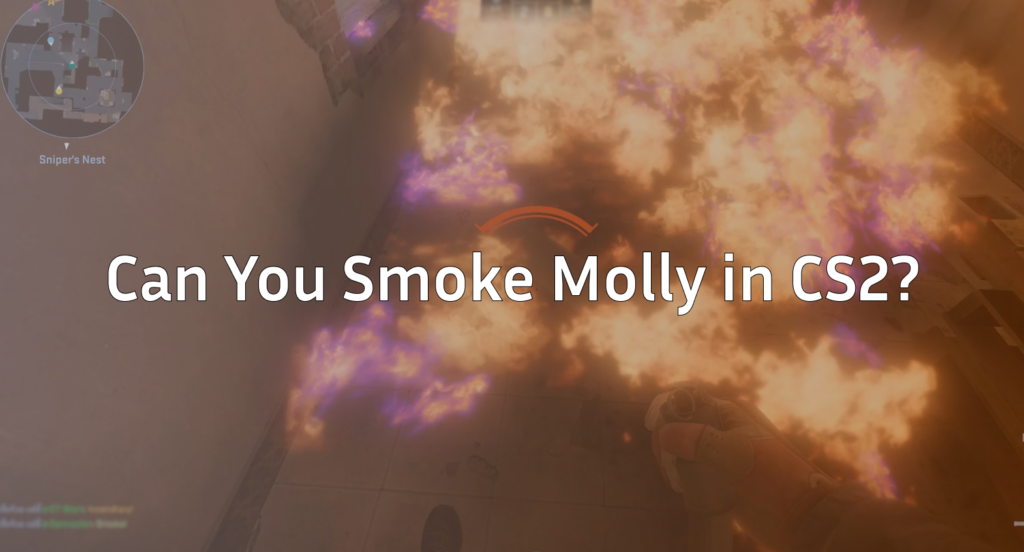 Can You Smoke Molly in CS2? Everything You Need to Know