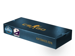ESL One Katowice 2015 Cobblestone Souvenir Package