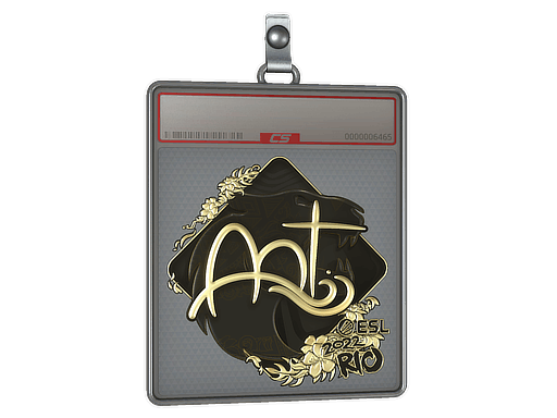 Sticker Slab | arT (Gold) | Rio 2022