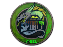 Sticker | Team Spirit (Holo) | Katowice 2019