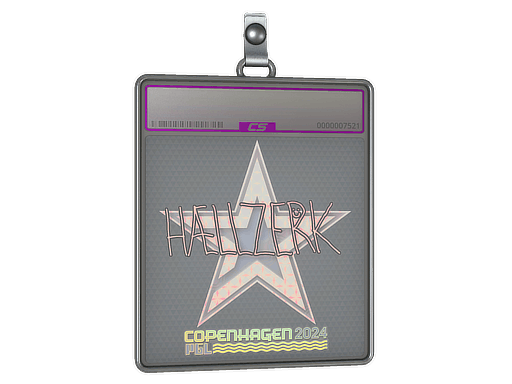 Sticker Slab | hallzerk (Holo) | Copenhagen 2024