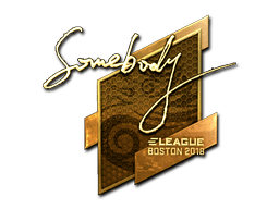 Sticker | somebody (Gold) | Boston 2018