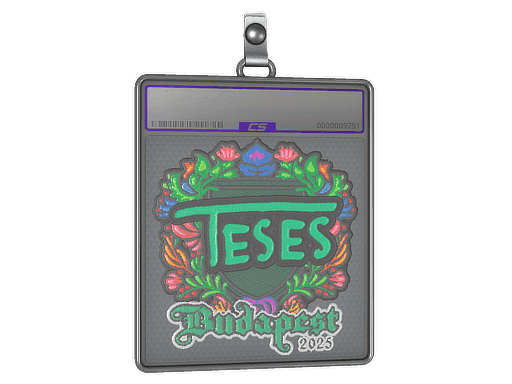 Sticker Slab | TeSeS (Embroidered) | Budapest 2025