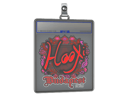 Sticker Slab | HooXi | Budapest 2025