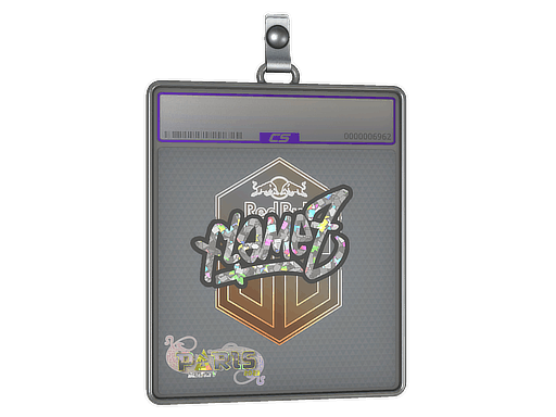 Sticker Slab | FlameZ (Glitter) | Paris 2023