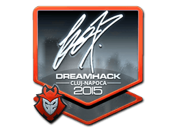 Sticker | fox (Foil) | Cluj-Napoca 2015