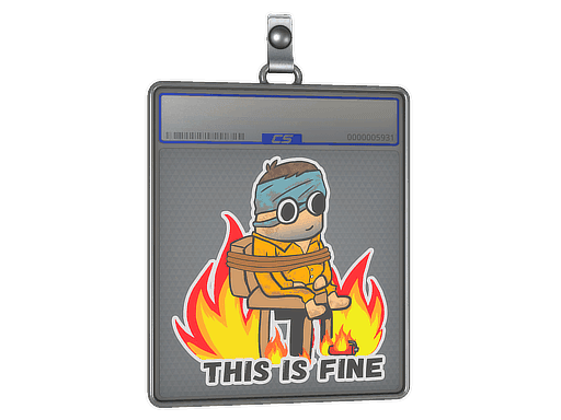Sticker Slab | This Is Fine (H)