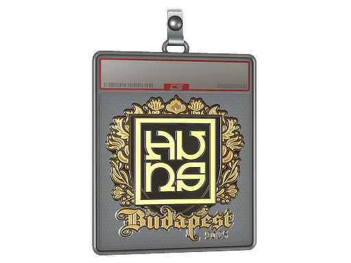 Sticker Slab | The Huns (Gold) | Budapest 2025