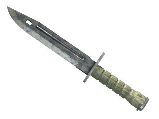 ★ StatTrak™ Bayonet | Stained