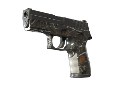 P250 | Small Game - Field-Tested