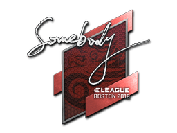 Sticker | somebody | Boston 2018