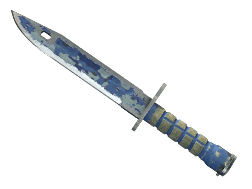 ★ StatTrak™ Bayonet | Bright Water