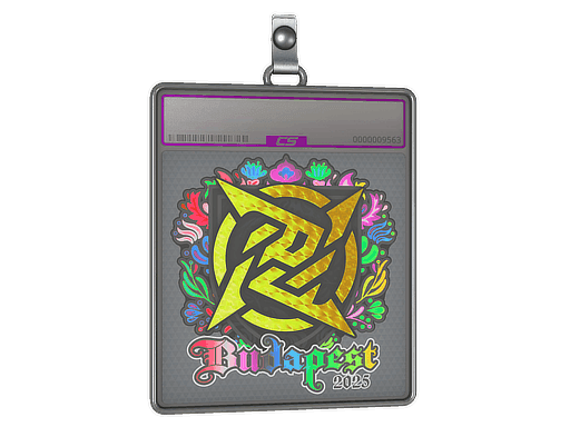 Sticker Slab | Ninjas in Pyjamas (Holo) | Budapest 2025