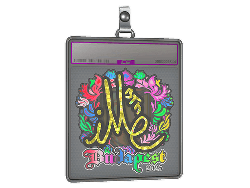 Sticker Slab | iM (Holo) | Budapest 2025