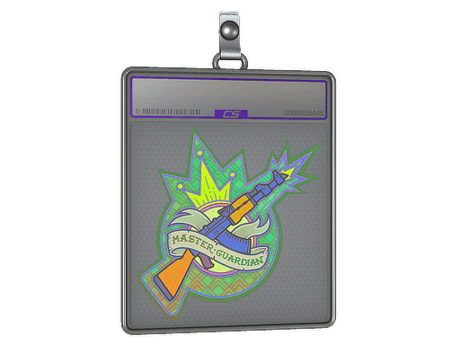 Sticker Slab | Master Guardian (Holo)