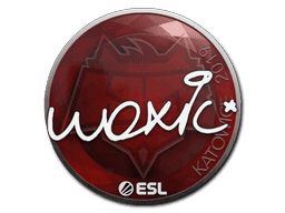 Sticker | woxic | Katowice 2019