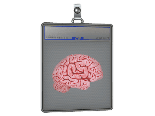 Sticker Slab | CS On The Mind