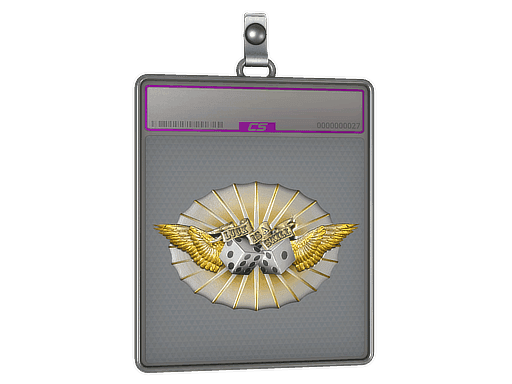 Sticker Slab | Luck Skill (Foil)