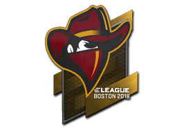 Sticker | Renegades | Boston 2018