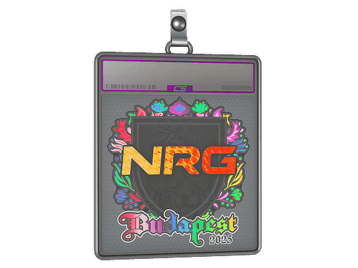 Sticker Slab | NRG (Holo) | Budapest 2025