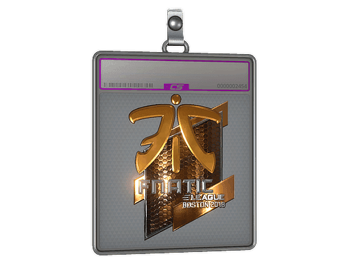 Sticker Slab | Fnatic (Foil) | Boston 2018