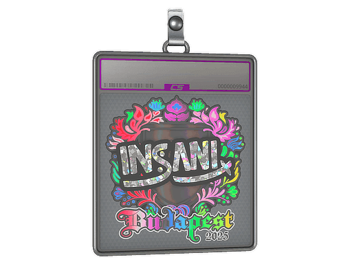 Sticker Slab | insani (Holo) | Budapest 2025