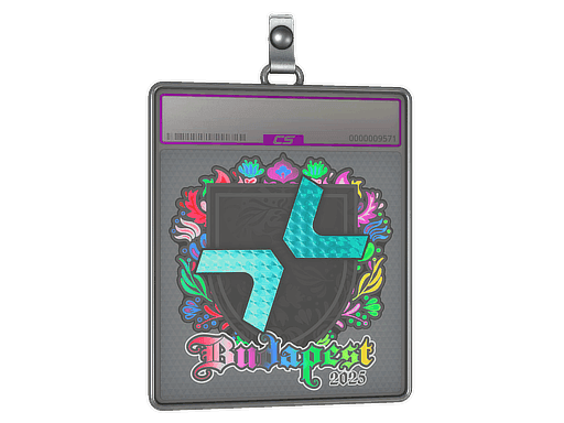 Sticker Slab | PARIVISION (Holo) | Budapest 2025