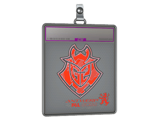 Sticker Slab | G2 Esports (Holo) | Antwerp 2022
