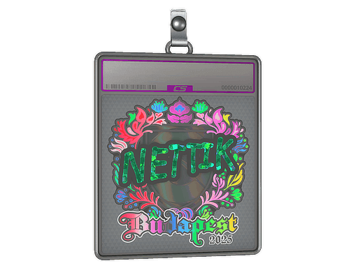 Sticker Slab | nettik (Holo) | Budapest 2025