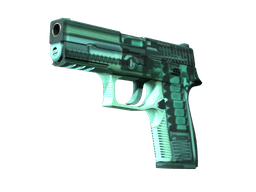 P250 | X-Ray