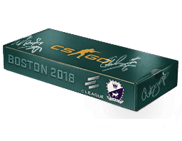 Boston 2018 Cobblestone Souvenir Package Skins