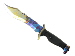 ★ Bowie Knife | Case Hardened