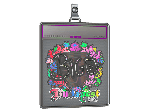 Sticker Slab | biguzera (Holo) | Budapest 2025