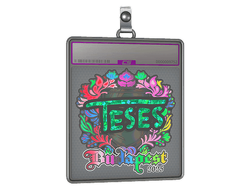 Sticker Slab | TeSeS (Holo) | Budapest 2025