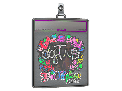 Sticker Slab | dgt (Holo) | Budapest 2025