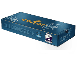 Cologne 2016 Cobblestone Souvenir Package Skins