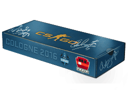 Cologne 2016 Train Souvenir Package Skins