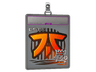 Sticker Slab | Fnatic (Foil) | 2020 RMR