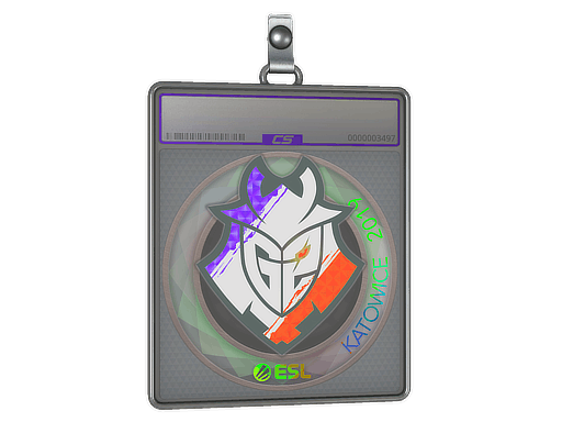 Sticker Slab | G2 Esports (Holo) | Katowice 2019