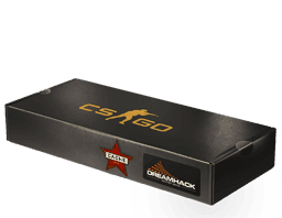 DreamHack 2014 Cache Souvenir Package Skins