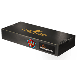 DreamHack 2014 Mirage Souvenir Package Skins