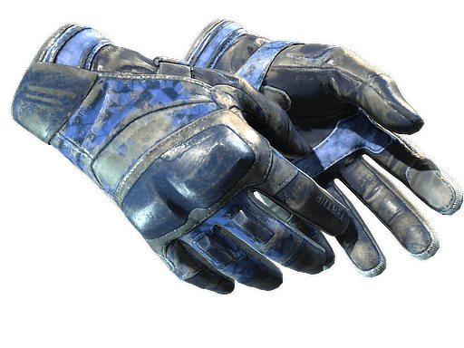 ★ Moto Gloves | Polygon