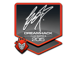 Sticker | fox | Cluj-Napoca 2015