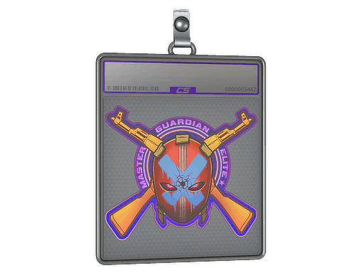 Sticker Slab | Master Guardian Elite (Holo)