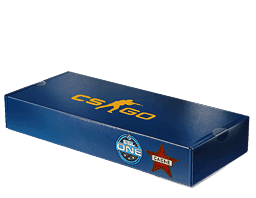 ESL One Cologne 2014 Cache Souvenir Package Skins