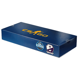ESL One Cologne 2014 Cobblestone Souvenir Package Skins