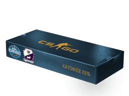 ESL One Katowice 2015 Cobblestone Souvenir Package Skins