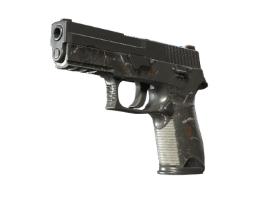 P250 | Small Game - Battle-Scarred