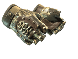 ★ Hydra Gloves | Rattler
